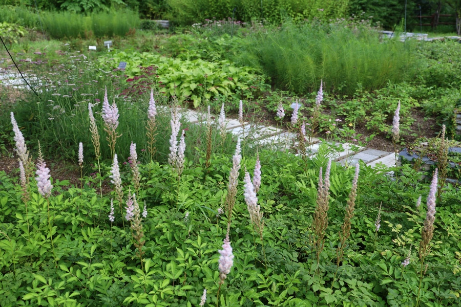 SE-5a1233f8-1eae-43ac-98e4-b15b7b2e53fd.jpg?type=w1