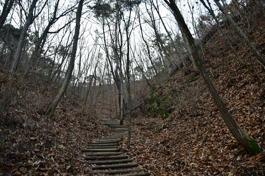 SE-d9260555-5cd4-43eb-bd79-a9311823e579.jpg?type=w1