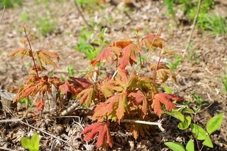 5%EC%9B%9410%EC%9D%BC_(61).JPG?type=w1