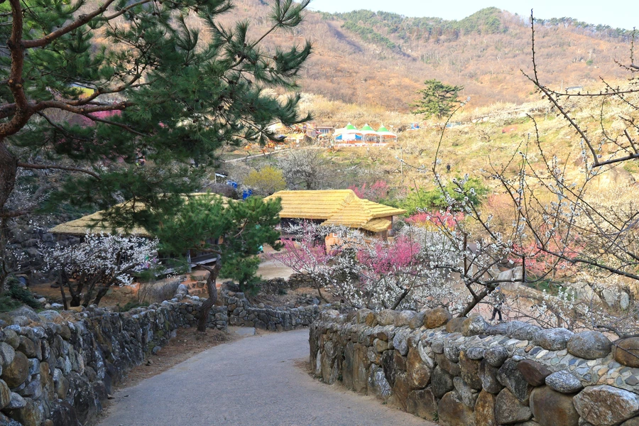 SE-054cfda2-2668-474f-99e9-a1a4f2b06f62.jpg?type=w1