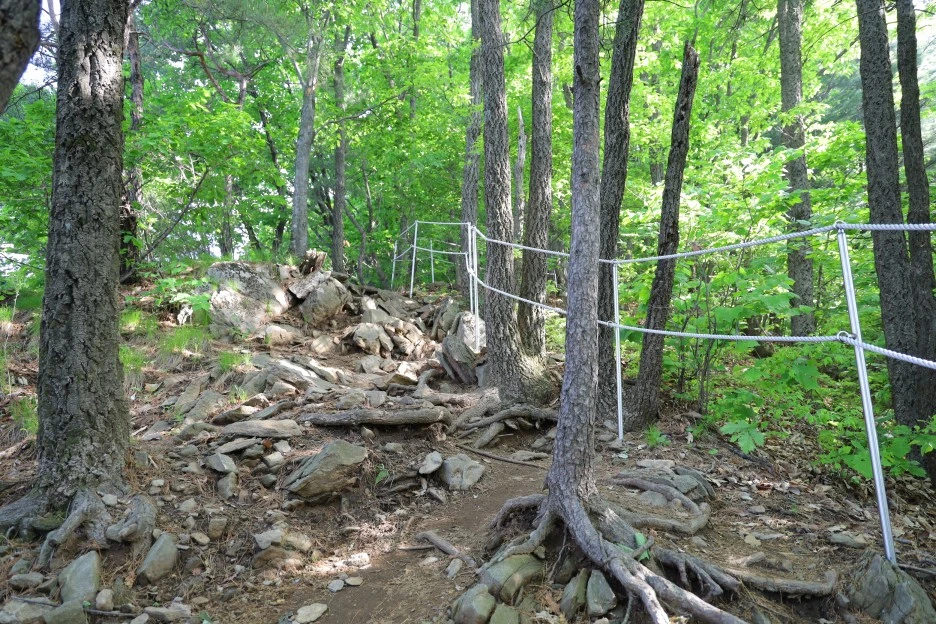 5%EC%9B%9410%EC%9D%BC_(21).JPG?type=w1