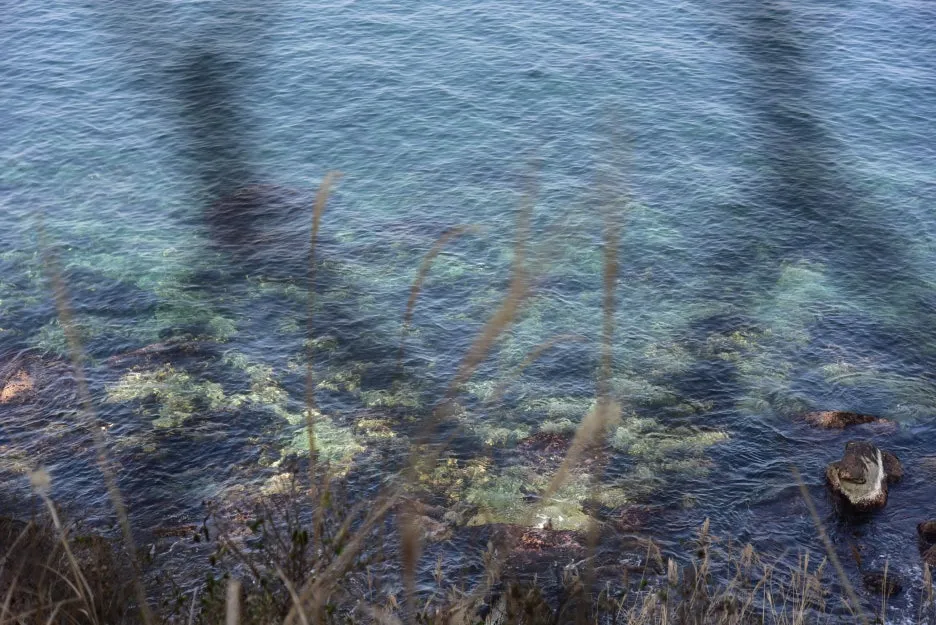 3%EC%9B%9411%EC%9D%BC_(21).JPG?type=w1