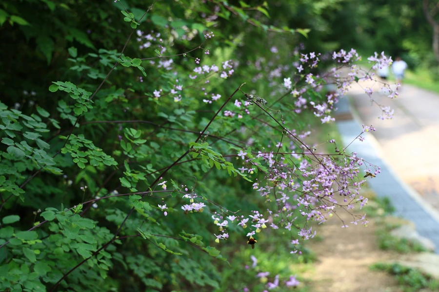 SE-1883d201-19c6-4549-957a-a8e2ebebde90.jpg?type=w1