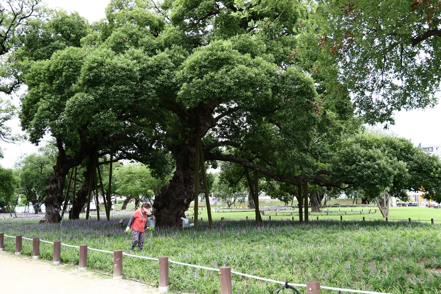 SE-5bf43f8c-130a-4155-8da7-8afd8366fa41.jpg?type=w1