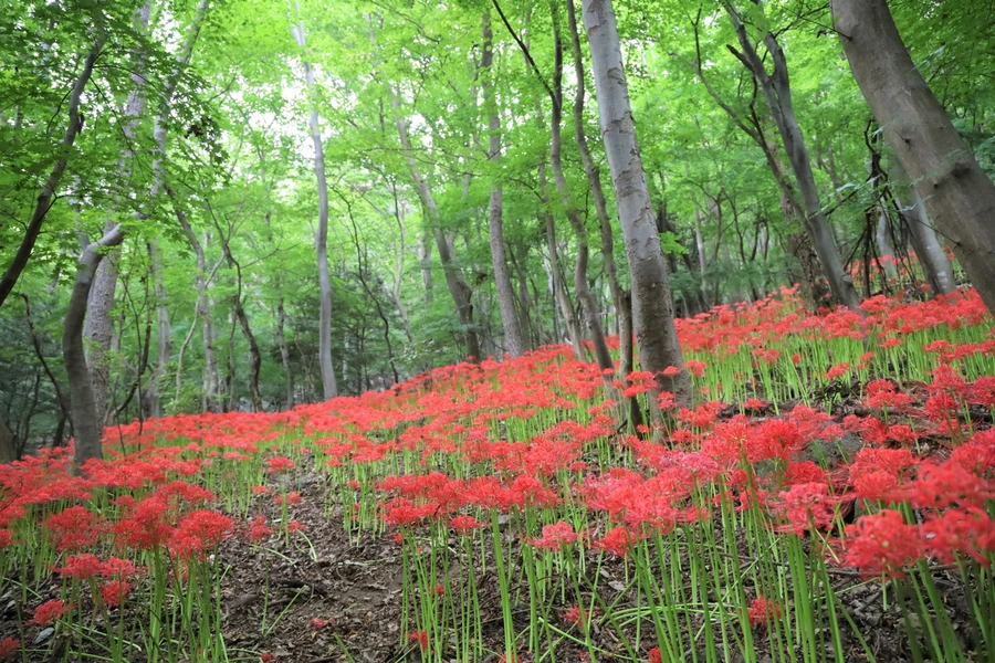 SE-f68eaf2b-d469-46d4-b89d-6f380823e826.jpg?type=w1