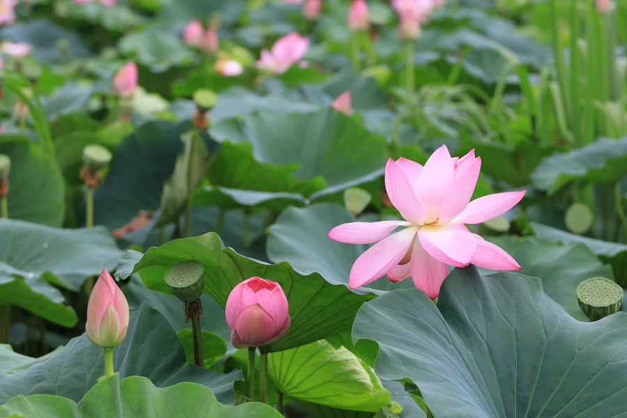 SE-5cc22a7b-96cb-4e9c-b60f-97b2a697a8db.jpg?type=w1