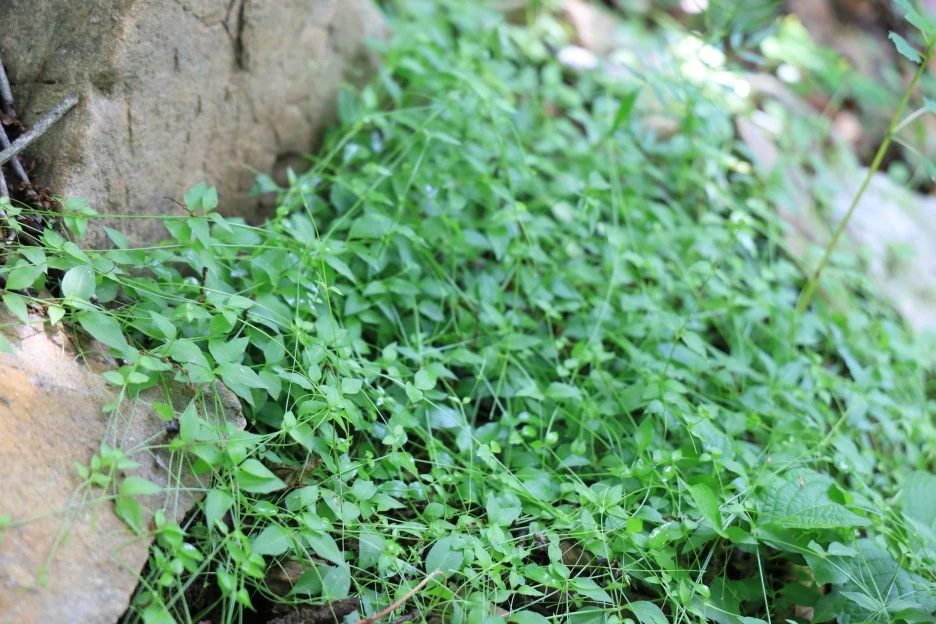 6%EC%9B%9414%EC%9D%BC_(125).JPG?type=w1