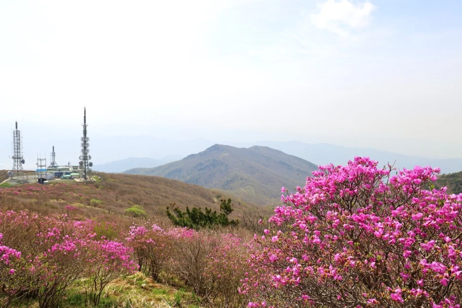 4%EC%9B%9428%EC%9D%BC_(69).JPG?type=w1