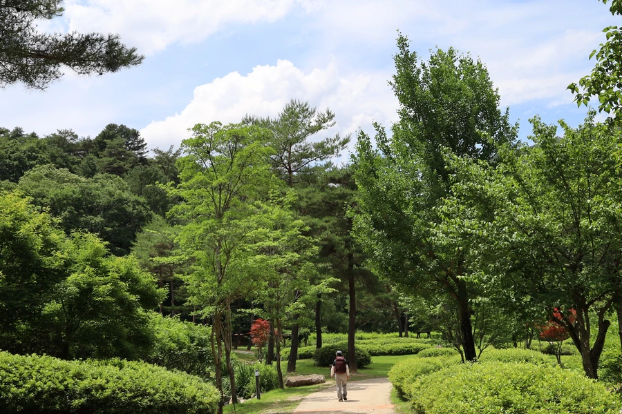 SE-9aae80e2-9092-459d-b5ca-1358944045bb.jpg?type=w1