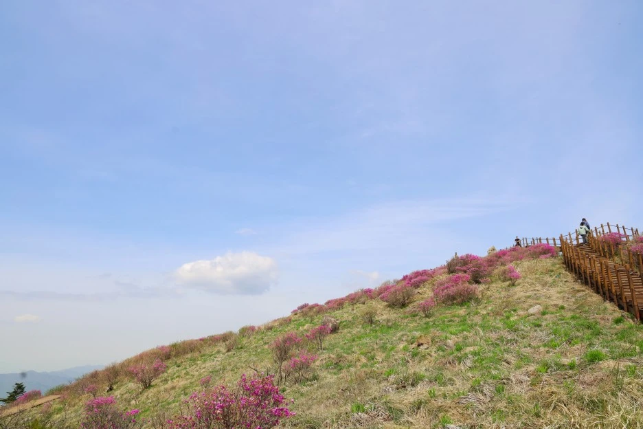 4%EC%9B%9428%EC%9D%BC_(100).JPG?type=w1