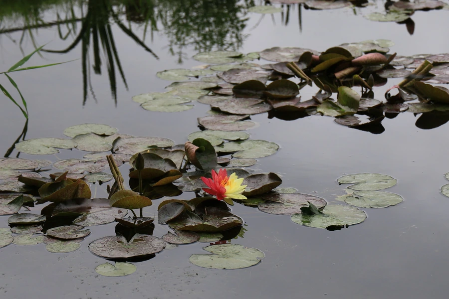 SE-f19aa099-2170-4933-98e2-c77c52e98f86.jpg?type=w1