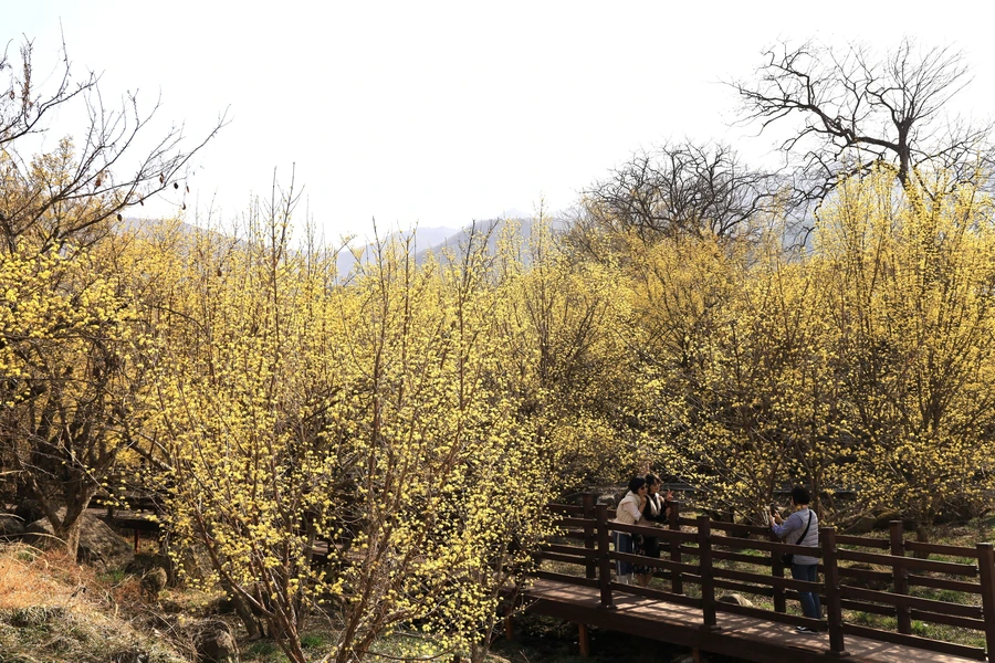 SE-0bf703c3-14bc-4459-aca3-b1c6d344c2c9.jpg?type=w1