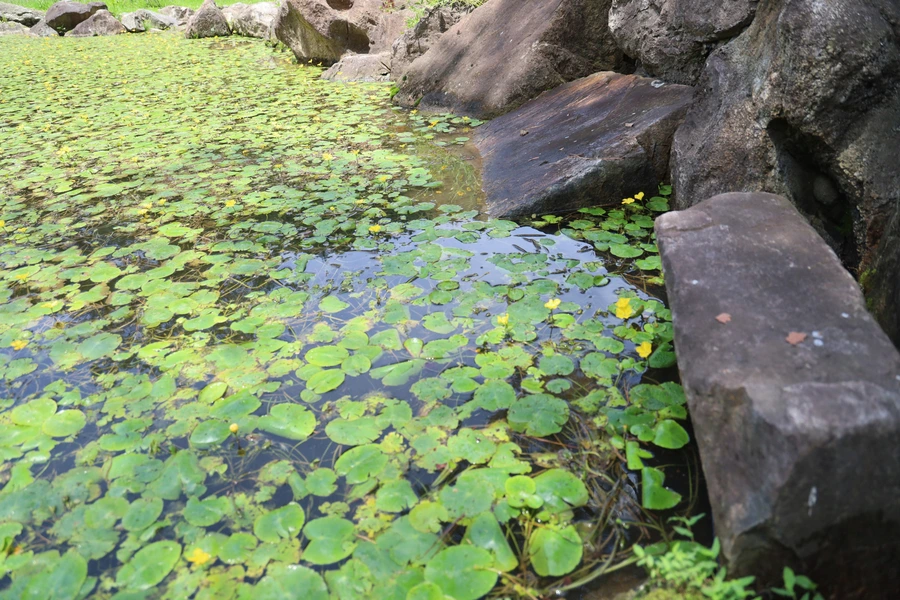 SE-4709e1ba-8374-4f01-a520-9bd603c1f407.jpg?type=w1