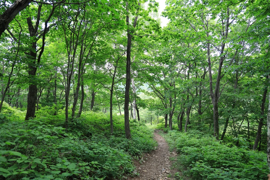 SE-cdbd67eb-3a8a-4165-8181-348ce14221b0.jpg?type=w1