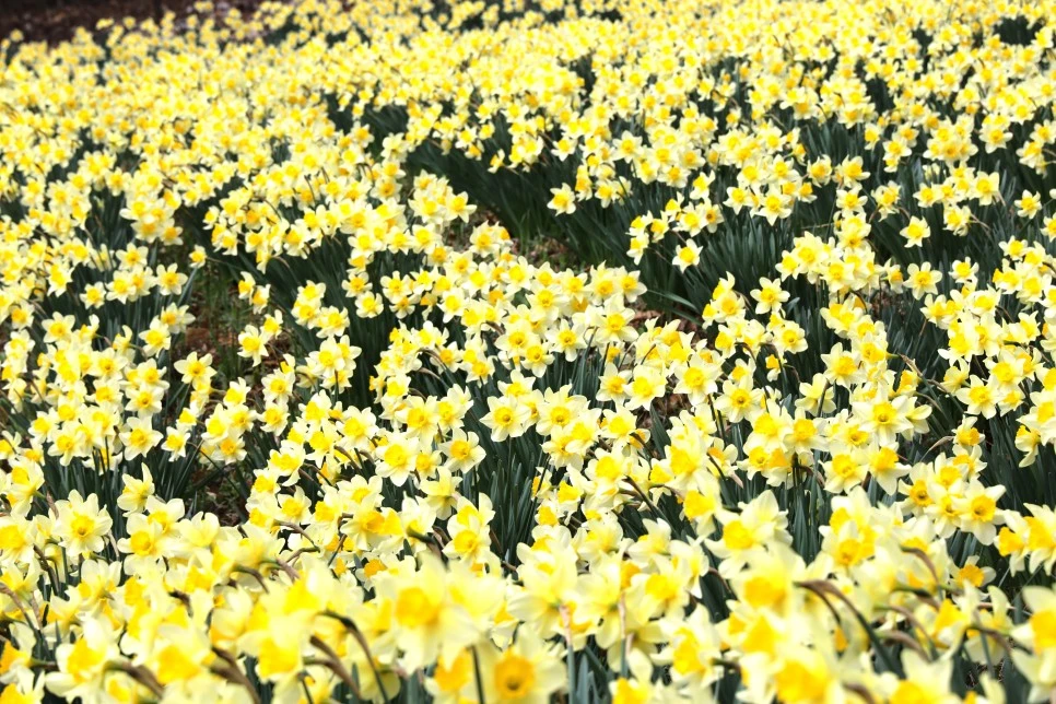 4%EC%9B%945%EC%9D%BC_(78).JPG?type=w966