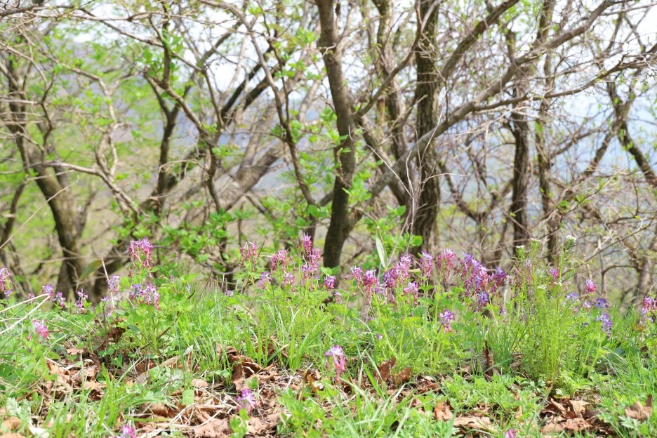 4%EC%9B%9428%EC%9D%BC_(170).JPG?type=w1