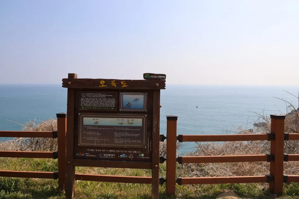 2%EC%9B%9426%EC%9D%BC_(14).JPG?type=w966