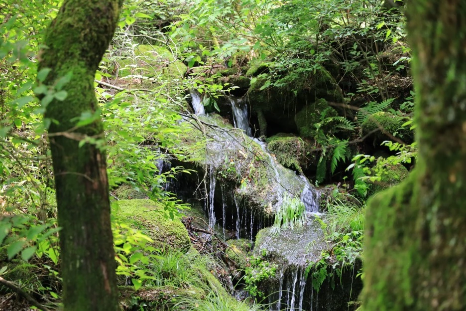 6%EC%9B%9428%EC%9D%BC_(411).JPG?type=w1