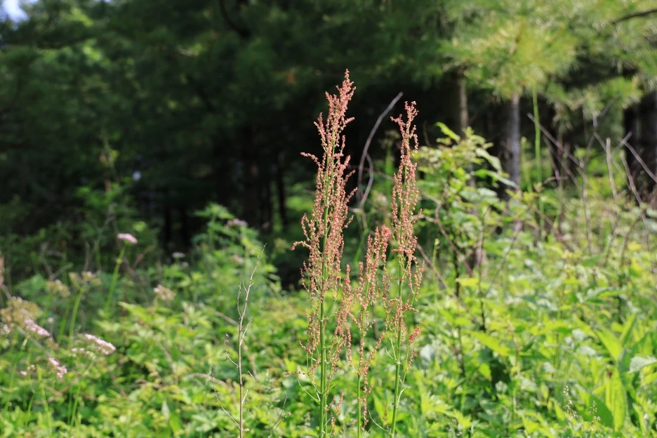 6%EC%9B%9414%EC%9D%BC_(11).JPG?type=w1