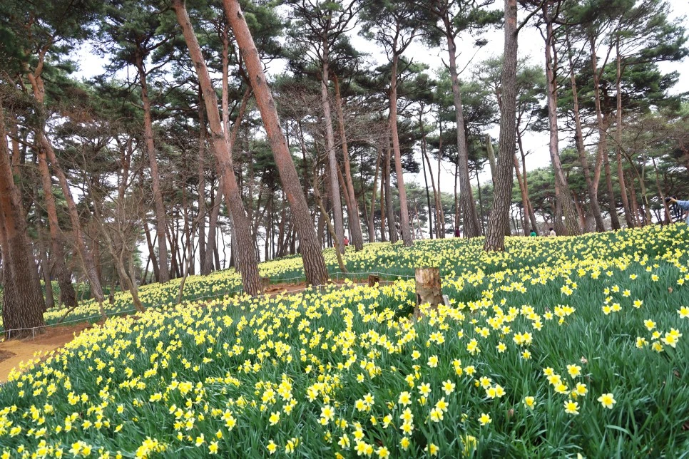 4%EC%9B%945%EC%9D%BC_(24).JPG?type=w966