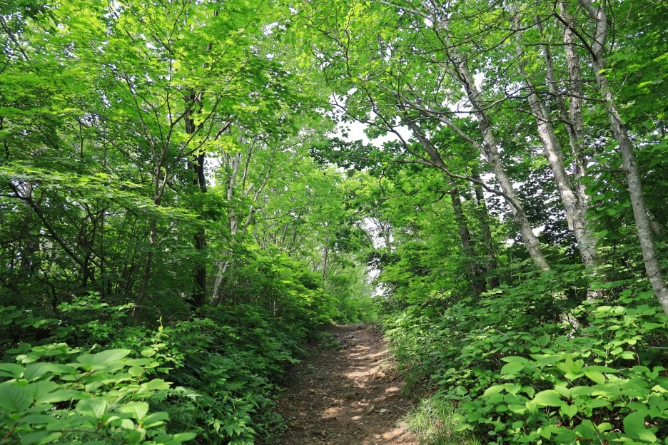 6%EC%9B%9414%EC%9D%BC_(99).JPG?type=w1