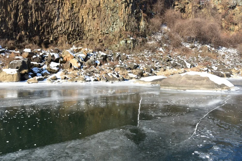 1%EC%9B%9412%EC%9D%BC_(55).JPG?type=w1