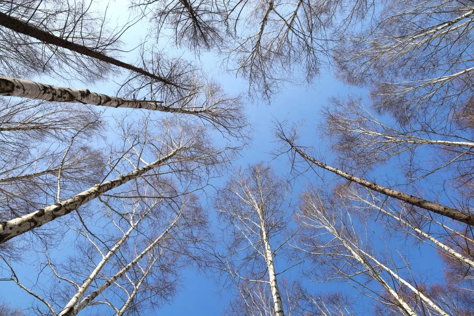 12%EC%9B%9426%EC%9D%BC_(79).JPG?type=w966