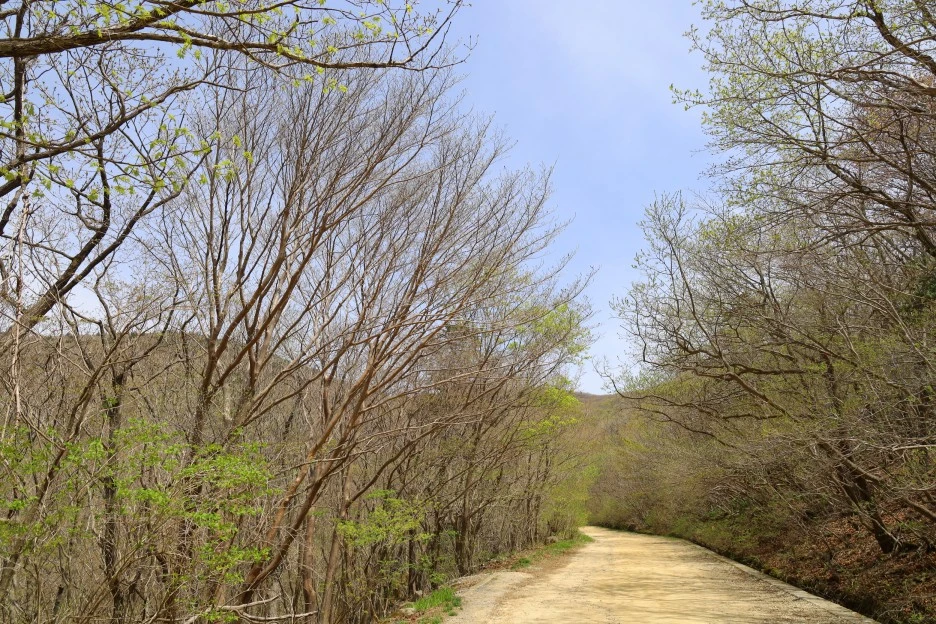 4%EC%9B%9428%EC%9D%BC_(11).JPG?type=w1