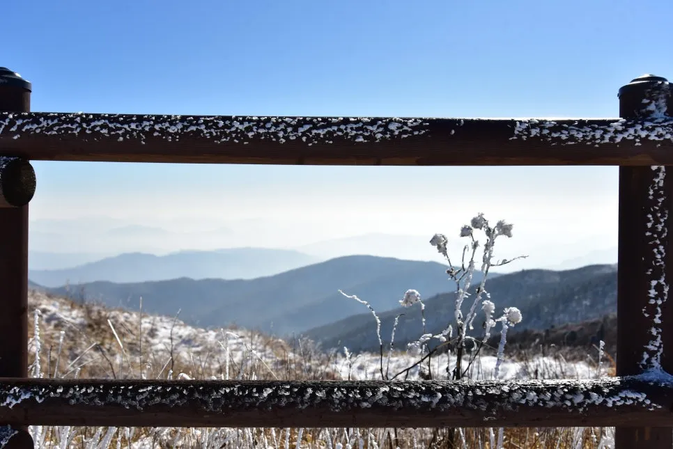 11%EC%9B%9426%EC%9D%BC_(149).JPG?type=w966