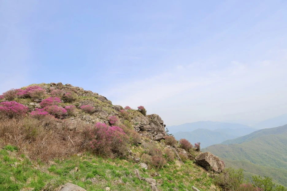 4%EC%9B%9428%EC%9D%BC_(103).JPG?type=w1