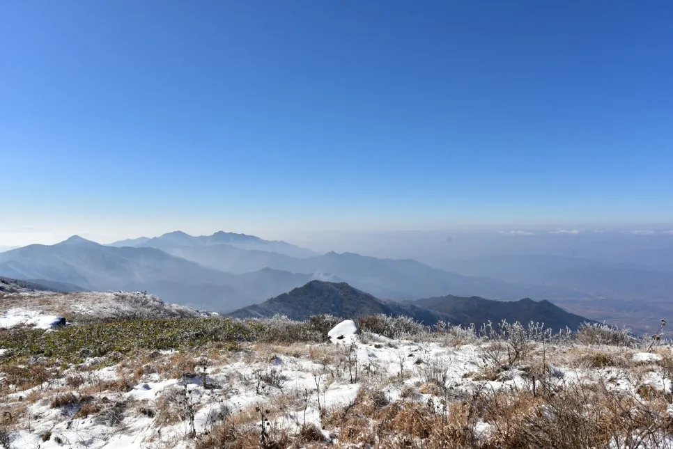 11%EC%9B%9426%EC%9D%BC_(181).JPG?type=w966