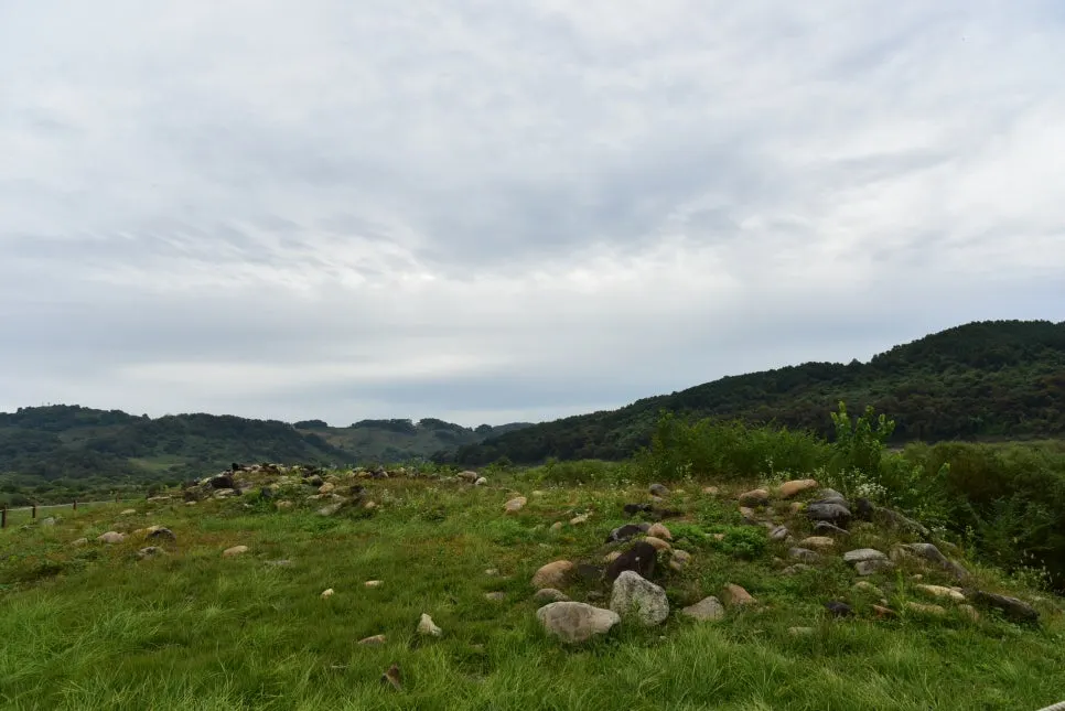 10%EC%9B%9414%EC%9D%BC_(84).JPG?type=w966