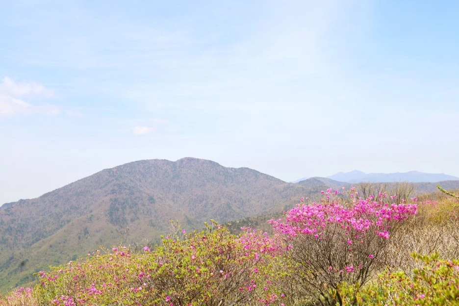 4%EC%9B%9428%EC%9D%BC_(40).JPG?type=w1