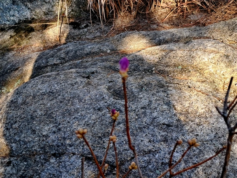 SE-4adf7198-b6a5-11ed-a824-cda13e24d6cc.jpg?type=w1