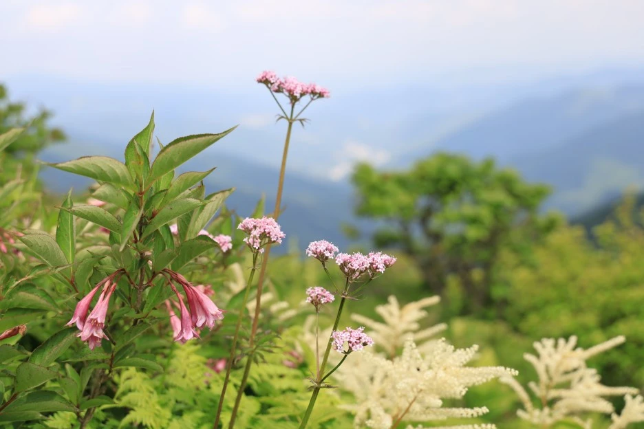 6%EC%9B%9414%EC%9D%BC_(213).JPG?type=w1