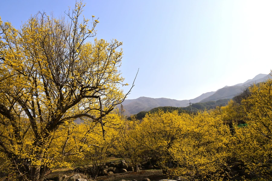 SE-d6279575-5506-4c3d-b618-48cb9304dfcd.jpg?type=w1