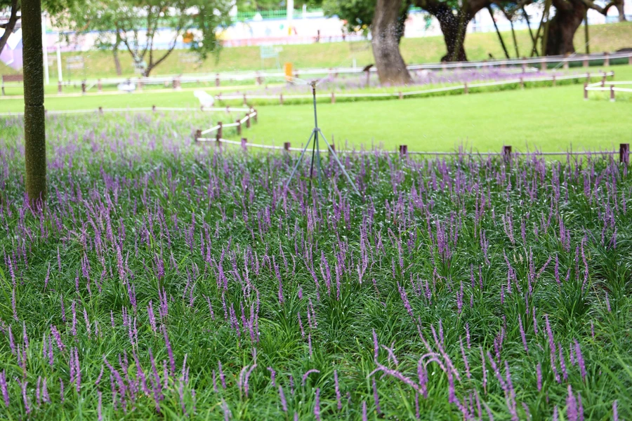 SE-8510b909-d524-4327-abe3-9bf321720093.jpg?type=w1