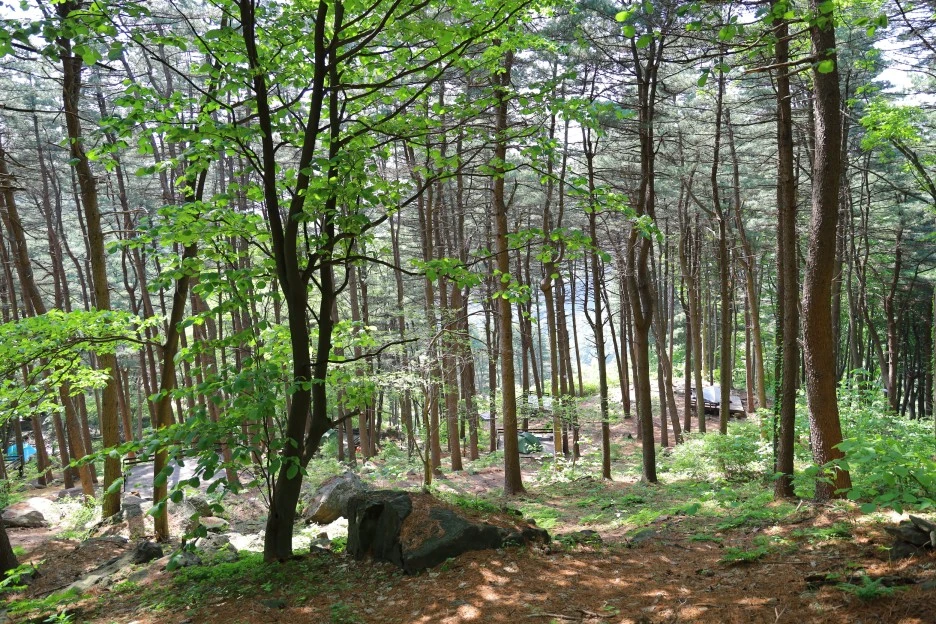 5%EC%9B%9410%EC%9D%BC_(184).JPG?type=w1