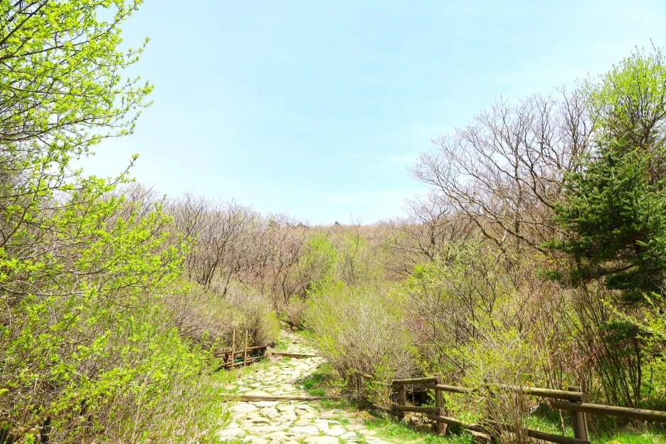 4%EC%9B%9428%EC%9D%BC_(24).JPG?type=w1