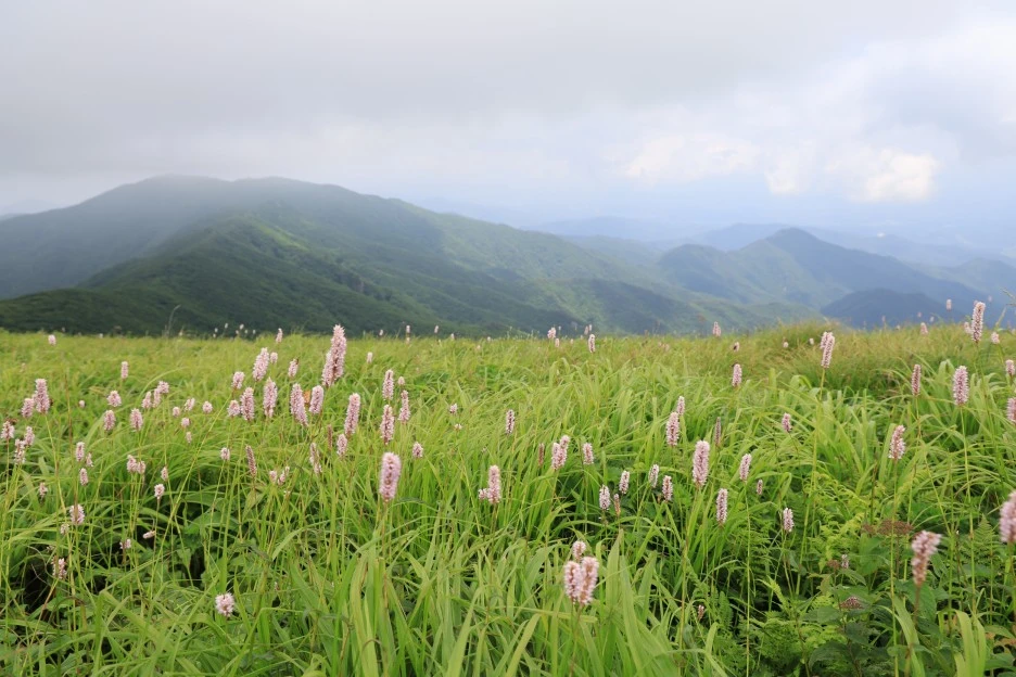 6%EC%9B%9428%EC%9D%BC_(250).JPG?type=w1