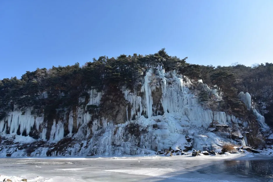 1%EC%9B%9412%EC%9D%BC_(92).JPG?type=w1