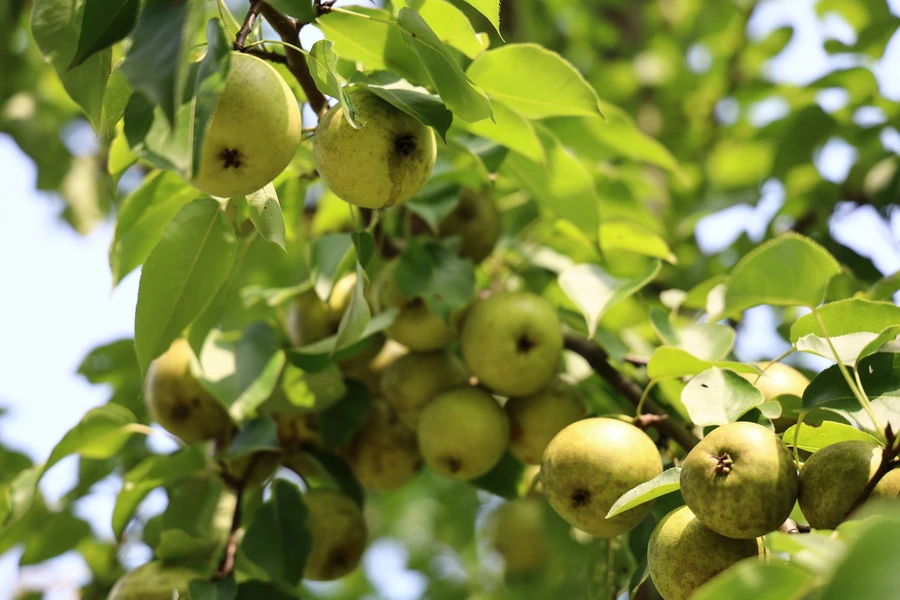 SE-ded9a584-290d-4469-a1c6-86a6d14bee12.jpg?type=w1