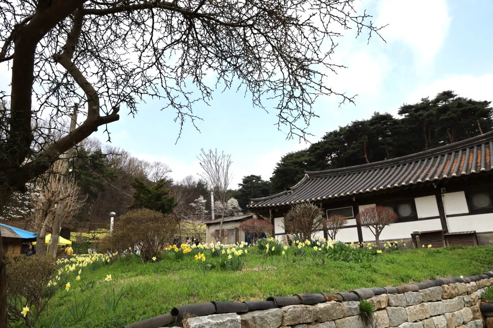 4%EC%9B%945%EC%9D%BC_(4).JPG?type=w966