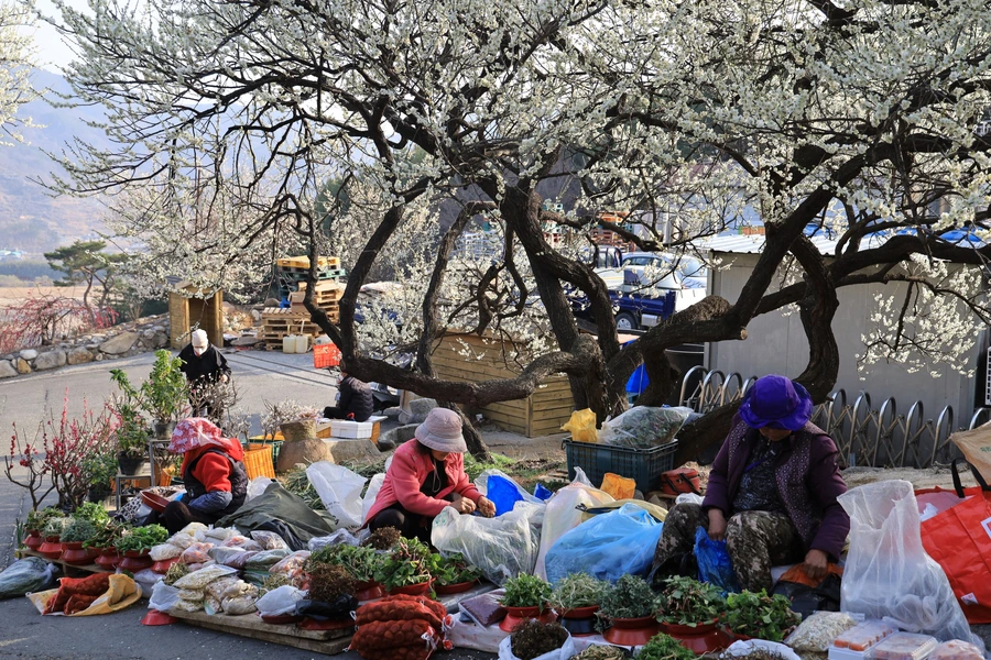 SE-916eceea-14f3-4419-abc2-63623ccb8459.jpg?type=w1