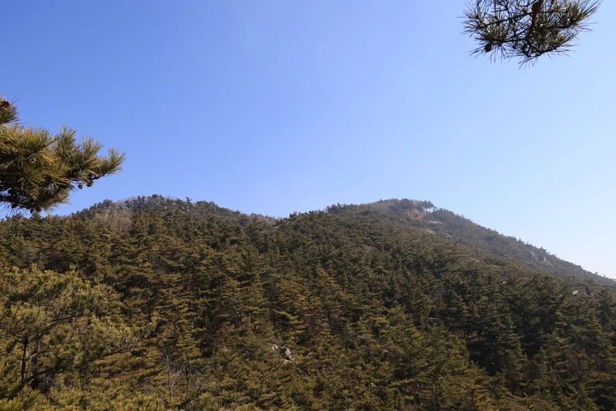 SE-82c8aef5-c74b-4ef5-9c1f-dc8ff80b71bc.jpg?type=w1