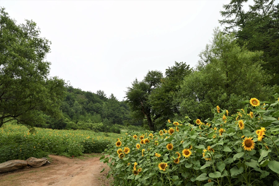 SE-3ce5b26b-b784-4fd7-93b6-2929c35d60c3.jpg?type=w1