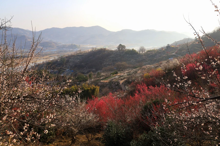 SE-08b0906e-502a-46d7-9da7-7813d814e30e.jpg?type=w1