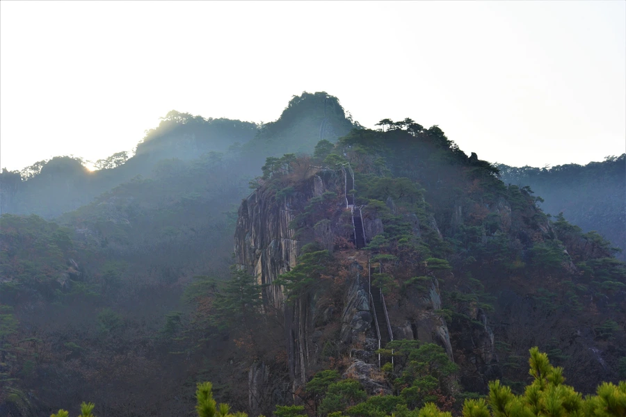 SE-894d8d18-6e78-46ca-a6e3-9b8a6f6efc39.jpg?type=w1