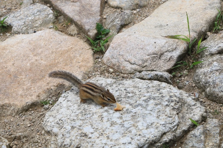 6%EC%9B%9428%EC%9D%BC_(281).JPG?type=w1