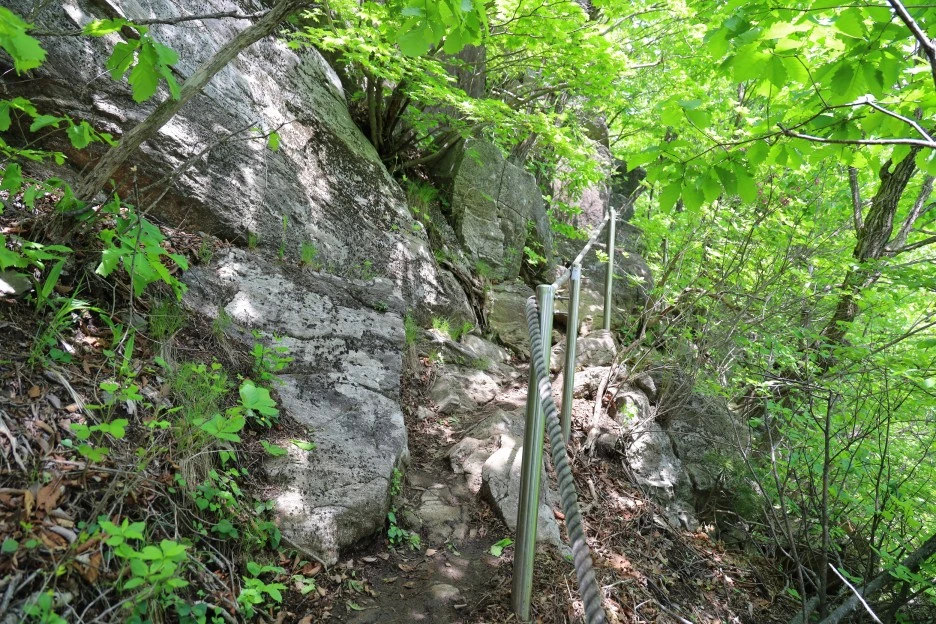 5%EC%9B%9410%EC%9D%BC_(124).JPG?type=w1